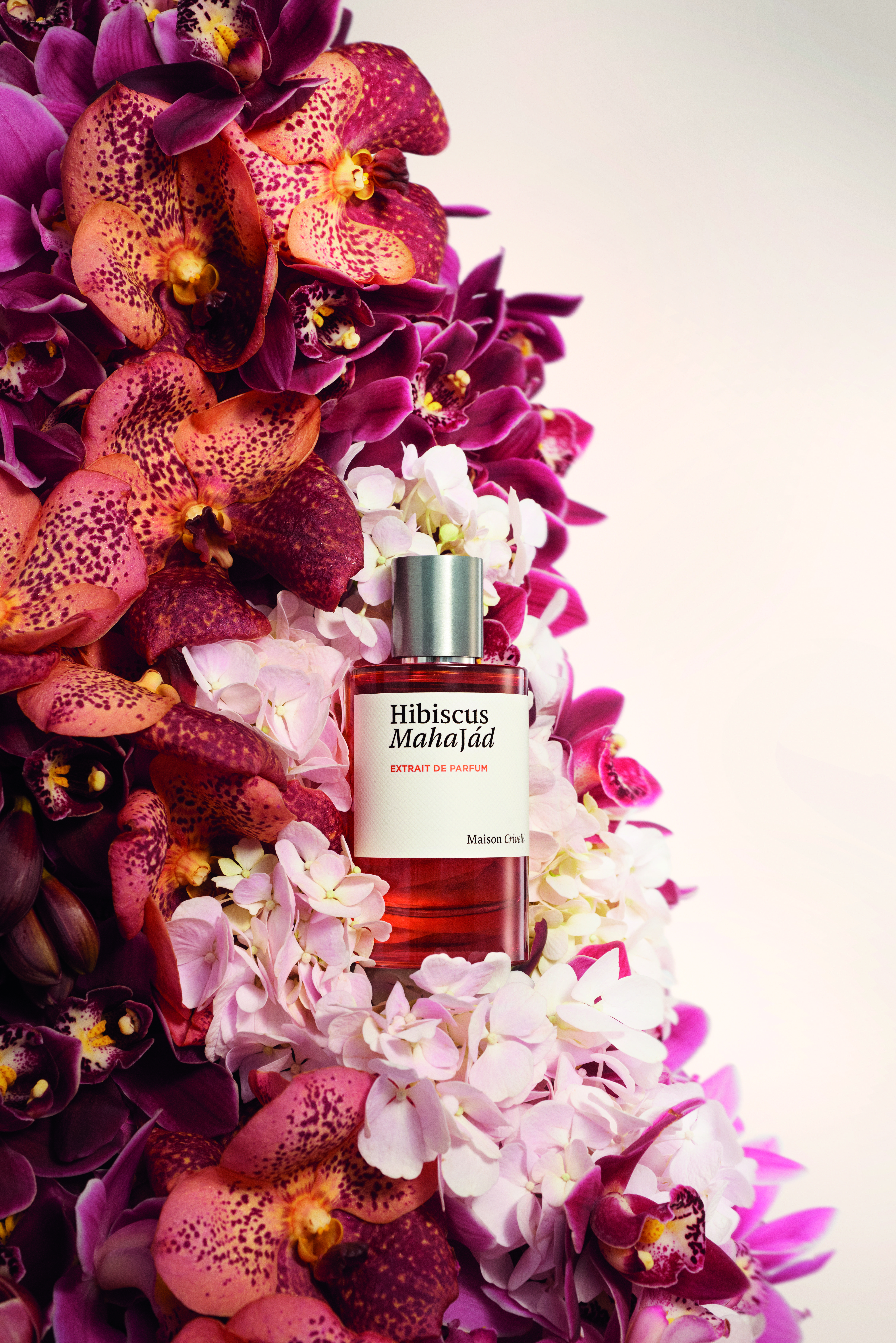 Maison Crivelli Hibiscus Mahajad