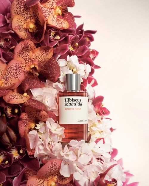 Maison Crivelli Hibiscus Mahajad